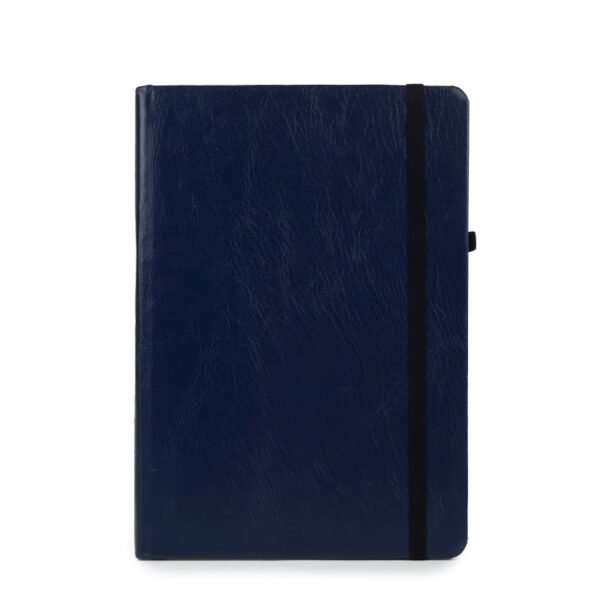 Diary